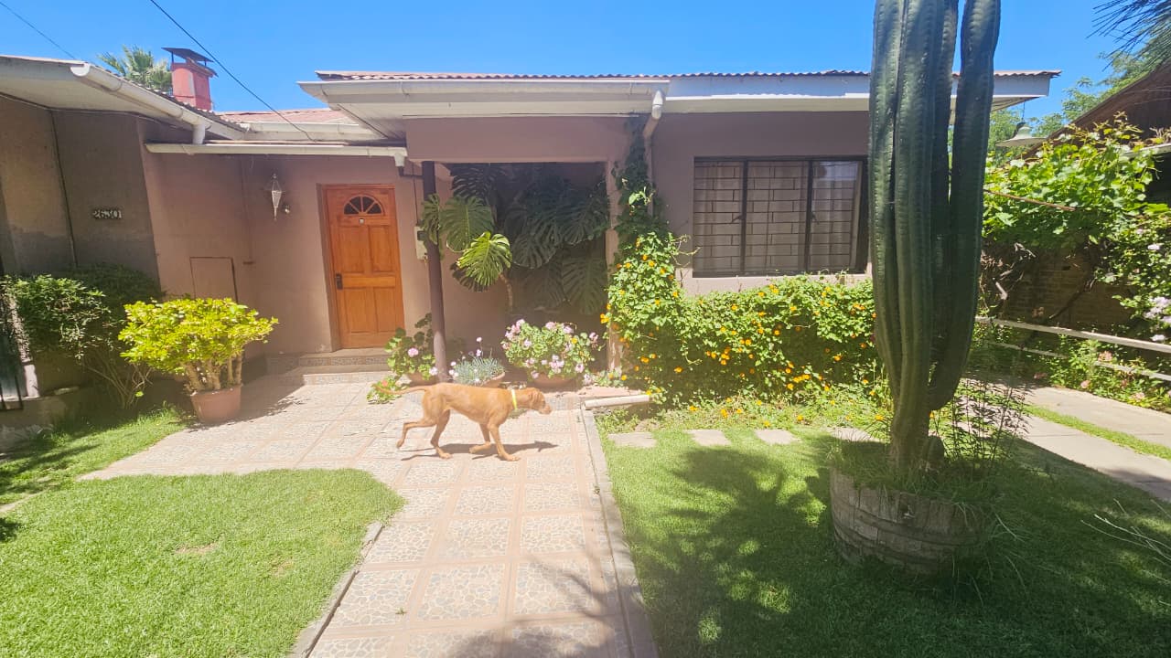 Imagen de WhatsApp 2025-11-11 a las 11.34.30_05afebb7