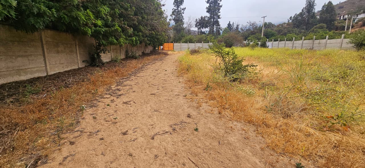 Imagen de WhatsApp 2025-12-09 a las 16.41.35_a92e0dc4