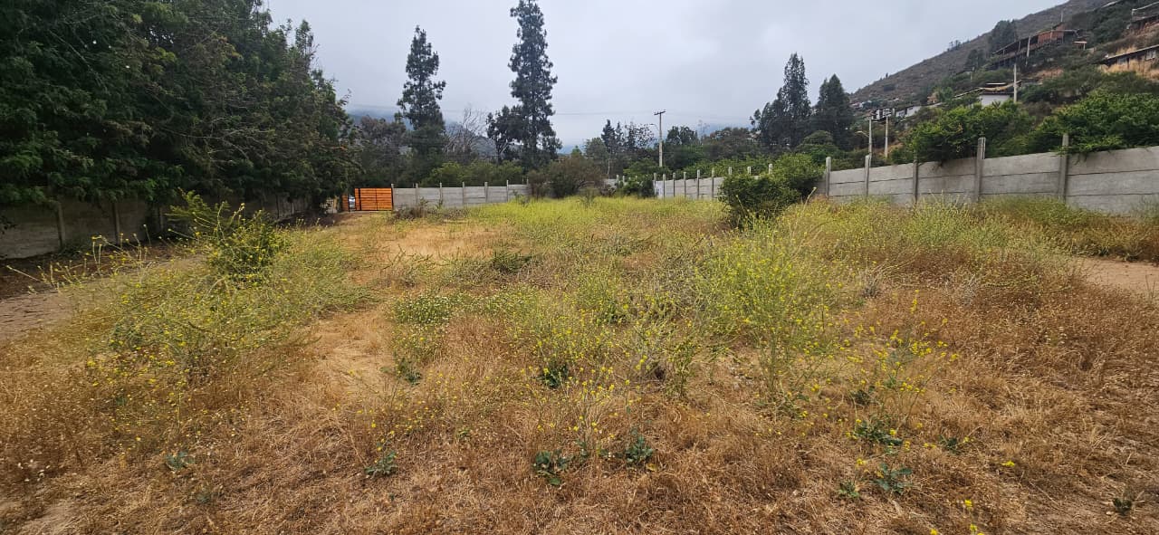 Imagen de WhatsApp 2025-12-09 a las 16.41.35_e32867a3