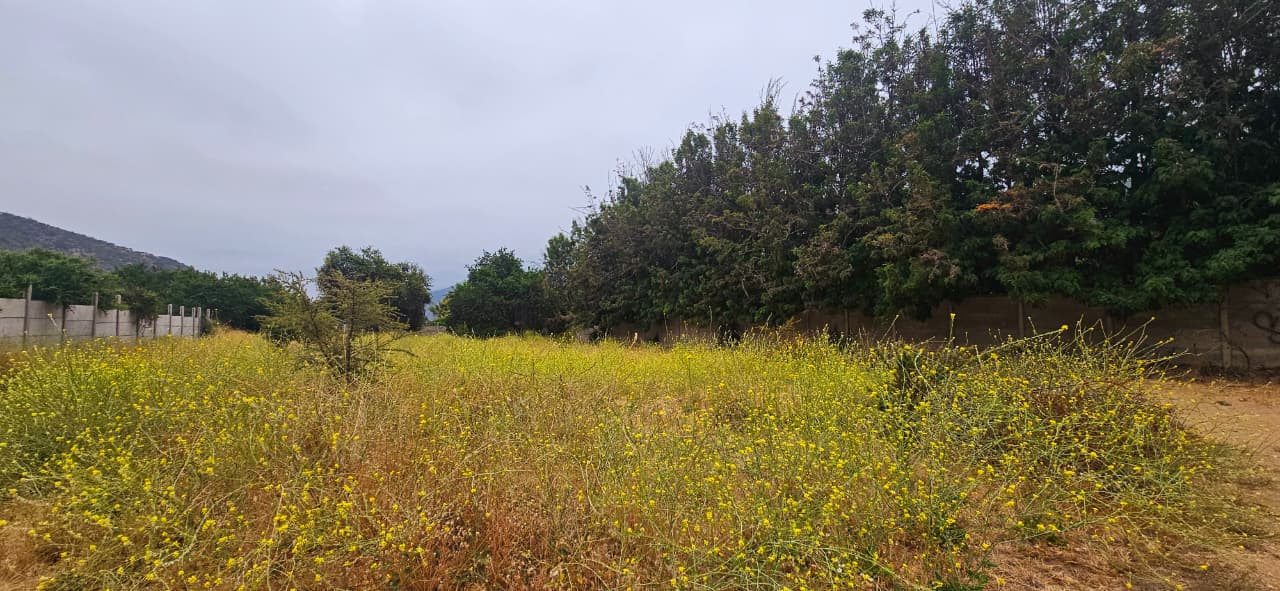 Imagen de WhatsApp 2025-12-09 a las 16.41.36_11303919