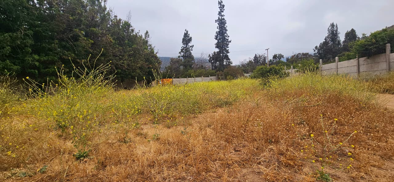 Imagen de WhatsApp 2025-12-09 a las 16.41.36_5b31c180