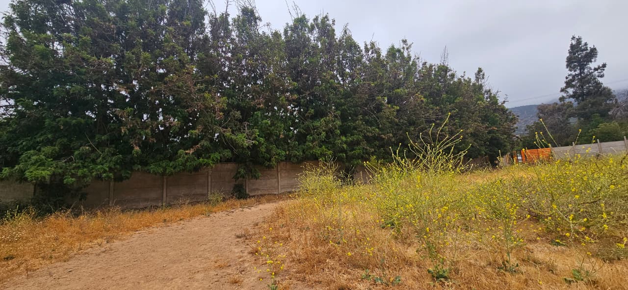 Imagen de WhatsApp 2025-12-09 a las 16.41.36_9ef4ff6c