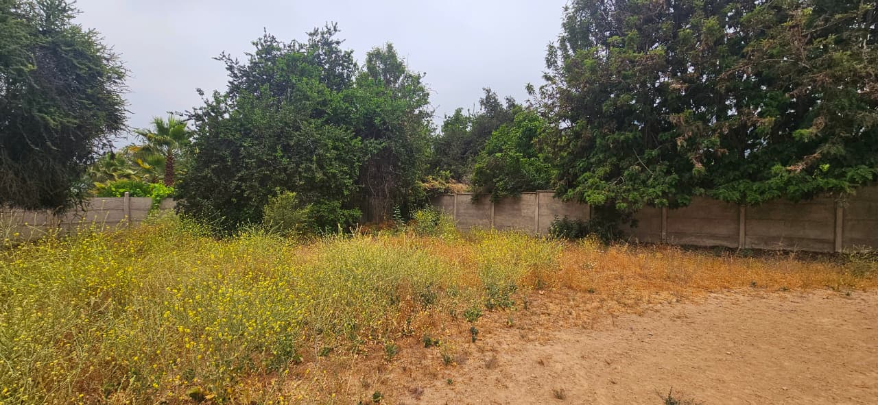 Imagen de WhatsApp 2025-12-09 a las 16.41.36_c75789b4