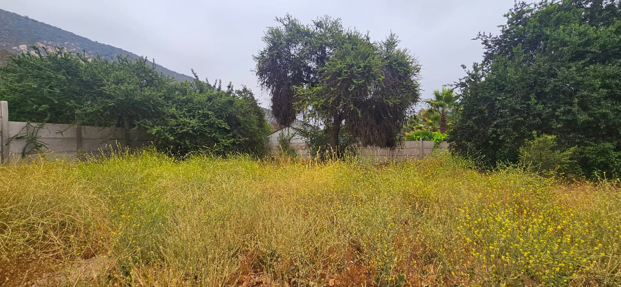 Imagen de WhatsApp 2025-12-09 a las 16.41.36_ddc7d543