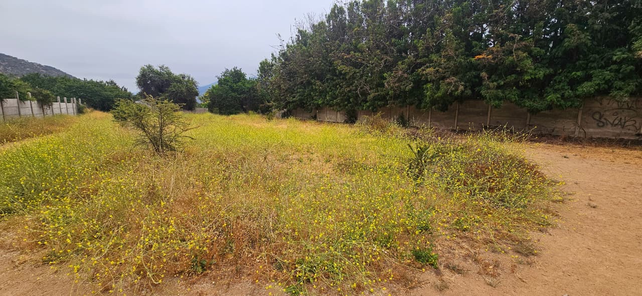 Imagen de WhatsApp 2025-12-09 a las 16.41.37_baf2c1b2