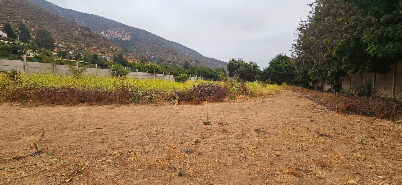 Imagen de WhatsApp 2025-12-09 a las 16.41.37_c91a70fa