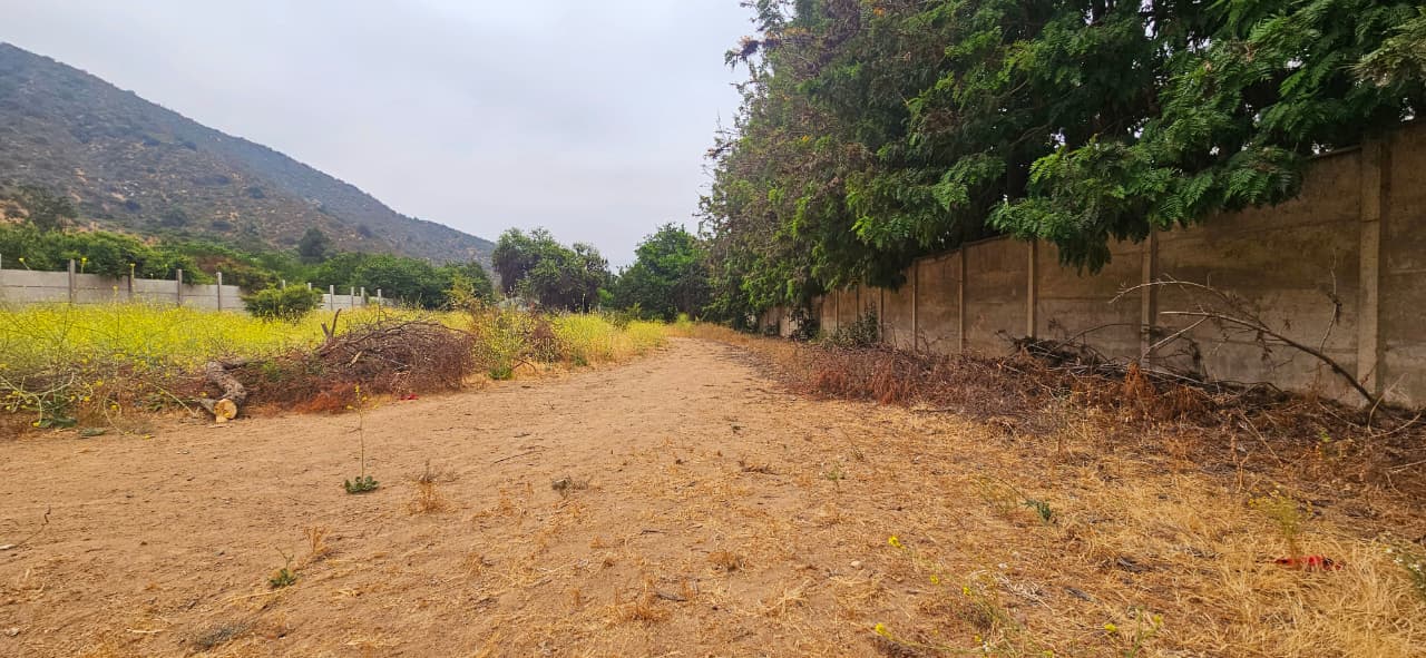 Imagen de WhatsApp 2025-12-09 a las 16.41.37_e4447515